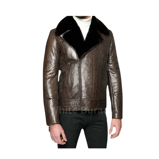 Metallic leather jacket with black collar