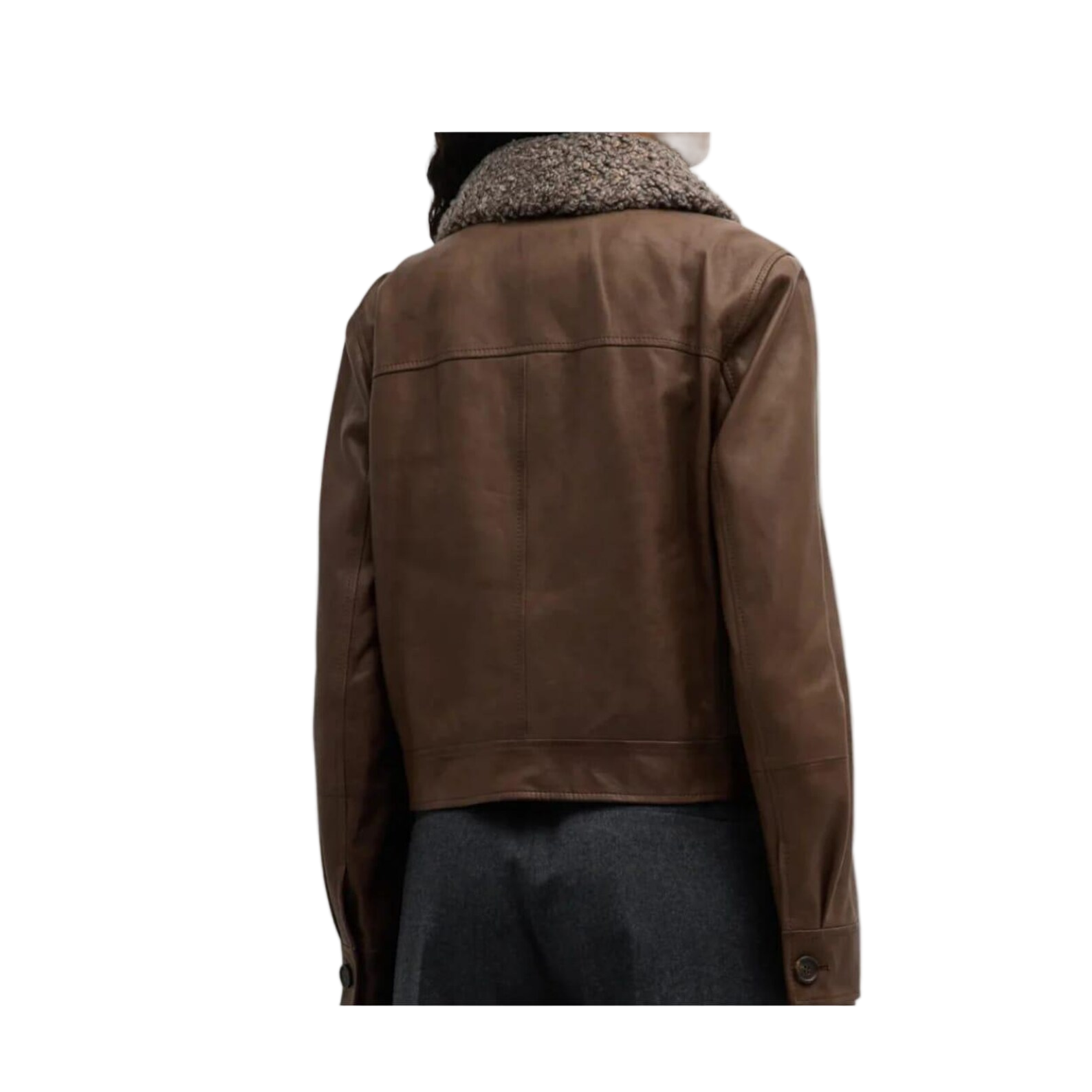 Brown jacket with fur collar