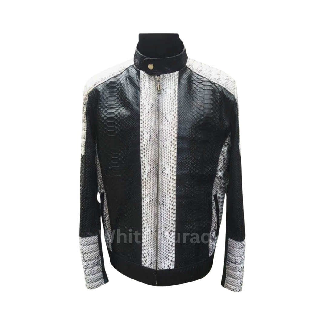 Black snakeskin cafe racer leather jacket