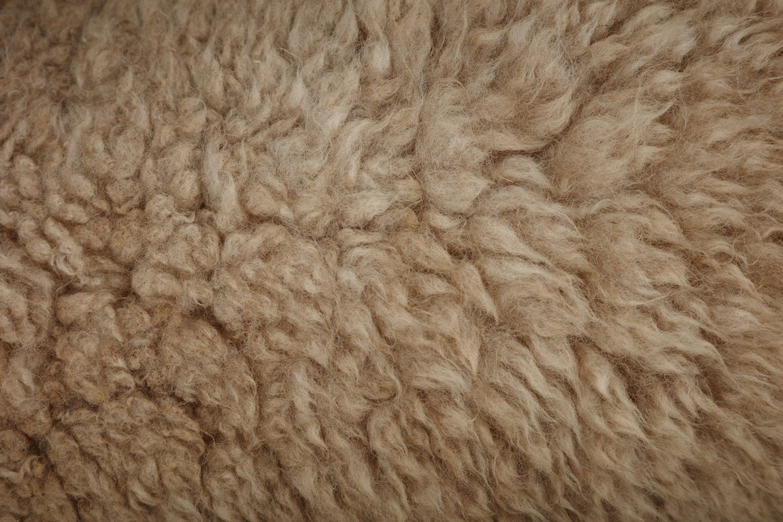Close-up of fluffy wool-on sheepskin