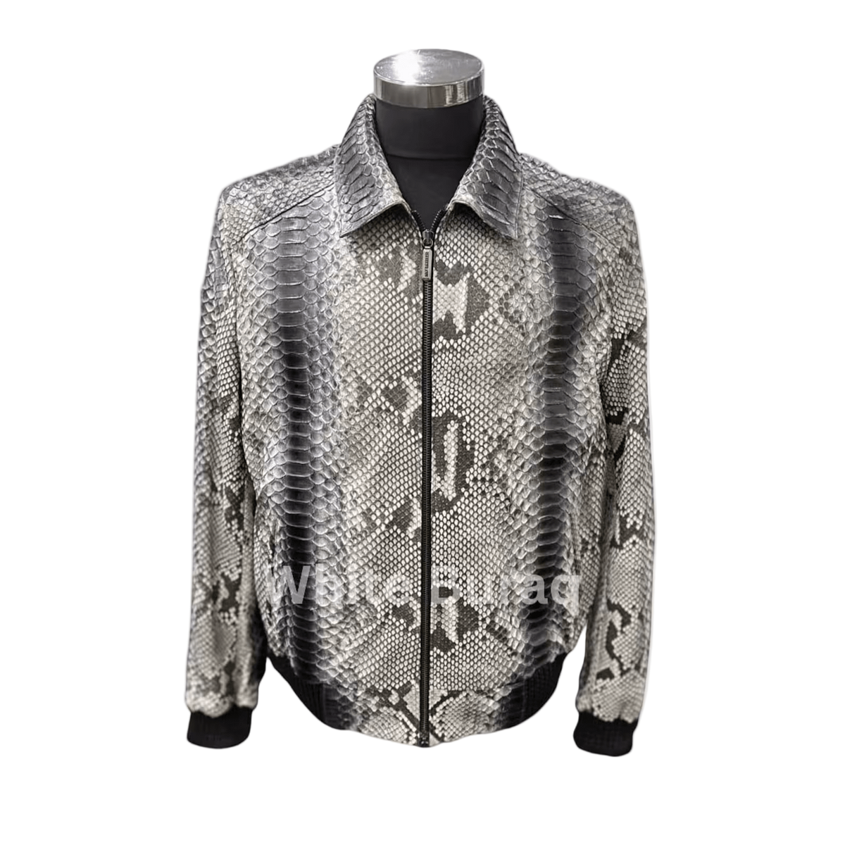 Snakeskin pattern jacket 