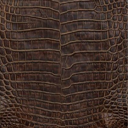 Crocodile leather sample