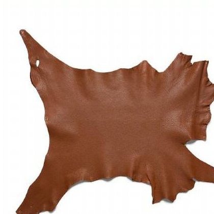 Goatskin leather sample