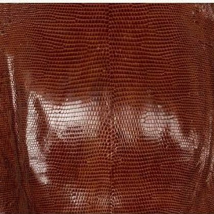 Lizard leather sample