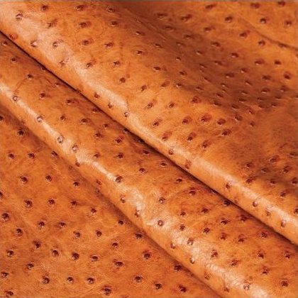 Ostrich leather sample